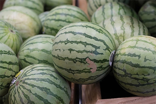 白瓤西瓜 白瓤西瓜