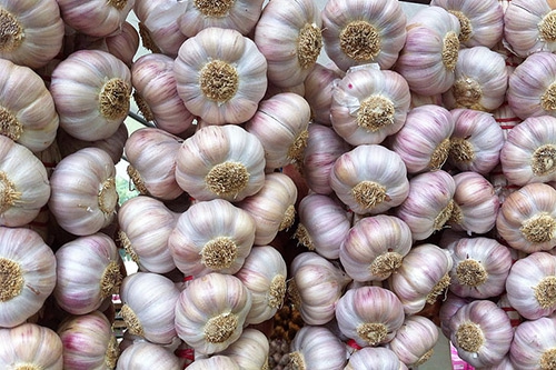 别人吃大蒜 别人吃大蒜