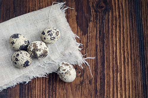 鹌鹑蛋 鹌鹑蛋