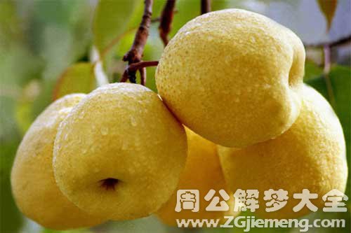 梦见梨子