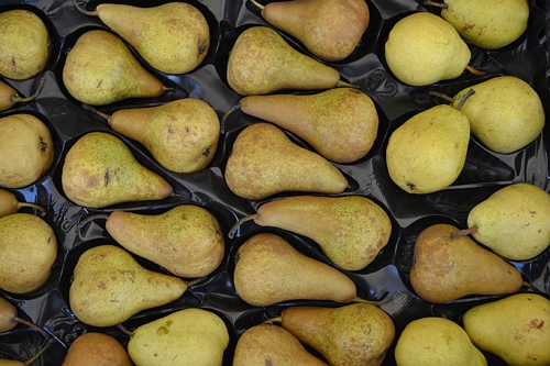 梦见梨树生了很多梨 梦见梨树生了很多梨