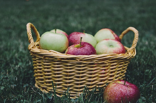 梦见捡鸡蛋核桃苹果 梦见捡鸡蛋核桃苹果