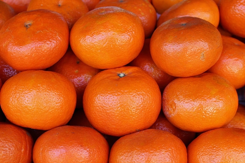 梦见树上结满了红色的橘子 梦见树上结满了红色的橘子