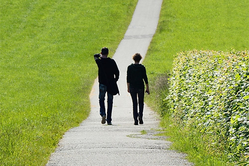 在公园散步 在公园散步