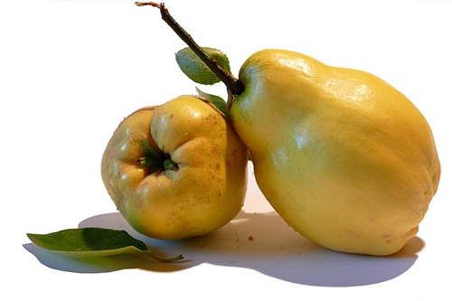 梦见摘了一筐梨 梦见摘了一筐梨