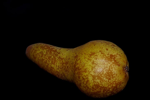 梦见情人送梨到家里 梦见情人送梨到家里