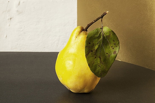 梦见收获庄稼梨 梦见收获庄稼梨