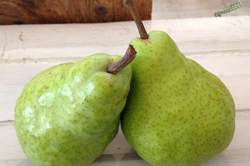 梦见隔年梨在树上长的了 梦见隔年梨在树上长的了