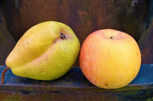 梦见和别人一起摘梨 梦见和别人一起摘梨