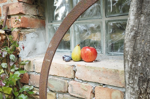 梦见孩子卖梨 梦见孩子卖梨