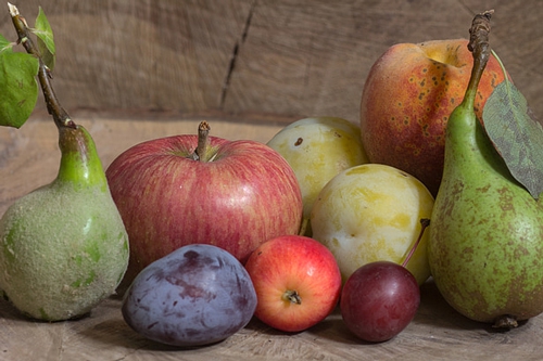 梦见树上结满桔子和梨 梦见树上结满桔子和梨