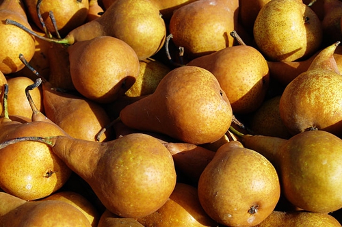 梦见葡萄变成梨 梦见葡萄变成梨