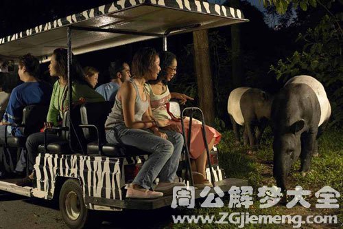 梦见观光 梦见观光