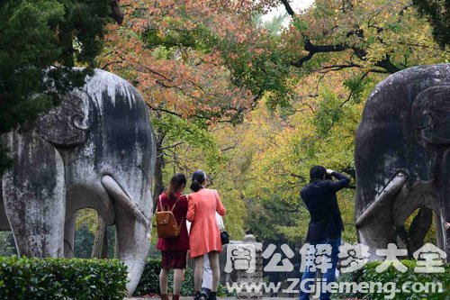 梦见游览 梦见游览