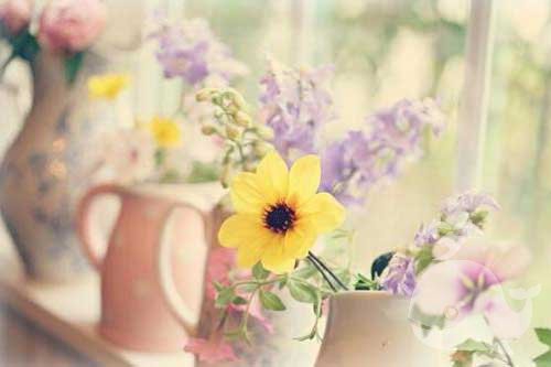 已故的亲人 已故的亲人