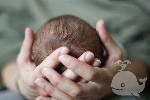 老婆生孩子 老婆生孩子