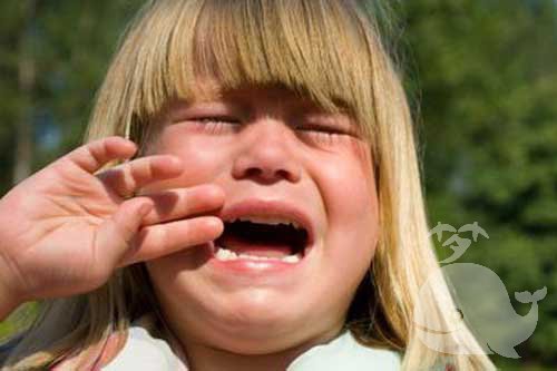 梦见哭的很伤心 梦见哭的很伤心