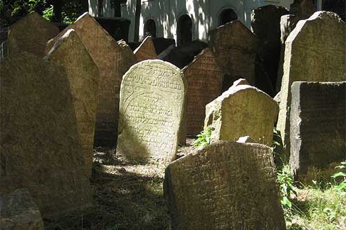 女人梦见很多坟 女人梦见很多坟