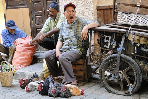 集市没人 集市没人