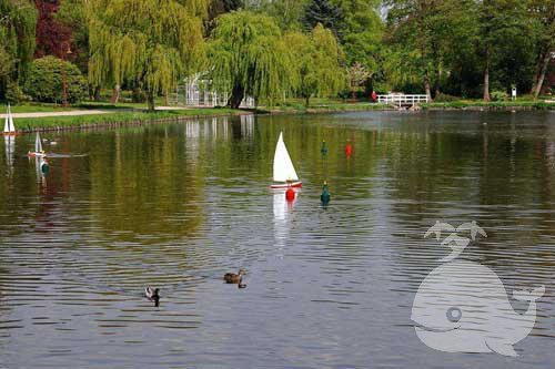 梦见水塘水满 梦见水塘水满