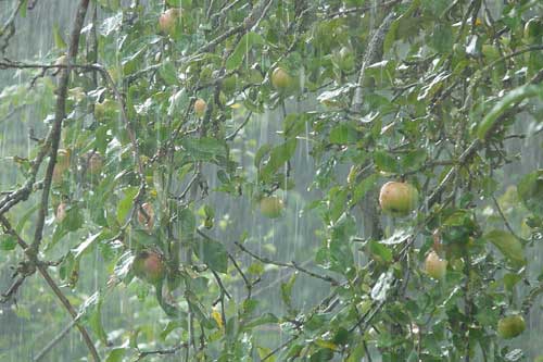 狂风暴雨电闪雷鸣 狂风暴雨电闪雷鸣
