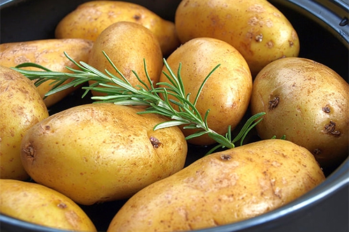 土豆发芽 土豆发芽