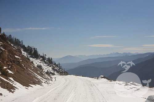 梦见路上有雪 梦见路上有雪