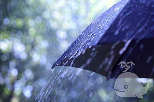 梦见外面下雨 梦见外面下雨