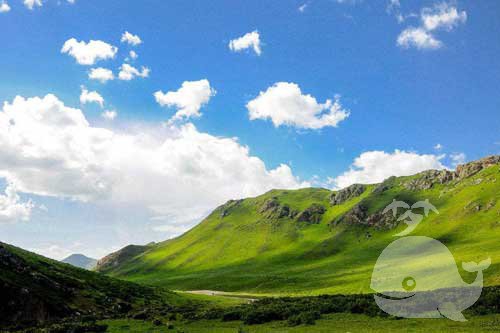 梦见山上 梦见山上