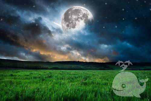 梦见晚上 梦见晚上