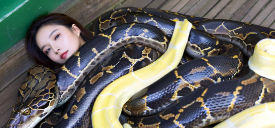 周公解梦梦见被蛇缠身 周公解梦梦见被蛇缠身