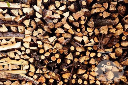 梦见干柴 梦见干柴