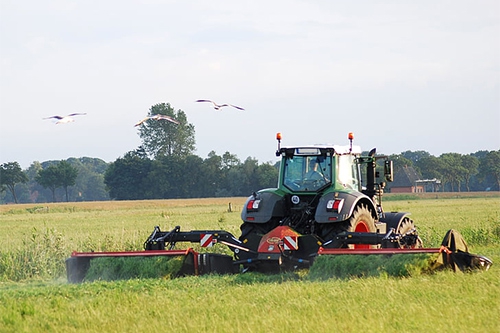 收割庄稼 收割庄稼