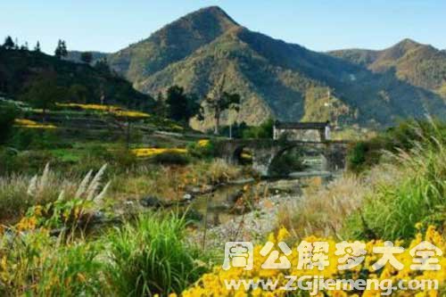 梦见在深山里 梦见在深山里