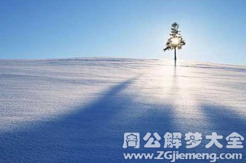 梦见厚雪 梦见厚雪
