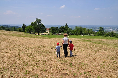 两个儿子 两个儿子