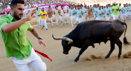 梦见被牛追 梦见被牛追